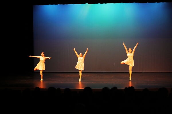 Keywords: Taylor_S;Sofia_C;Katelyn_L