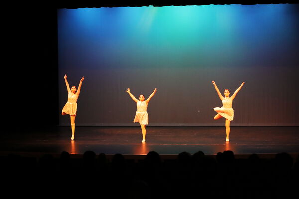 Keywords: Taylor_S;Sofia_C;Katelyn_L