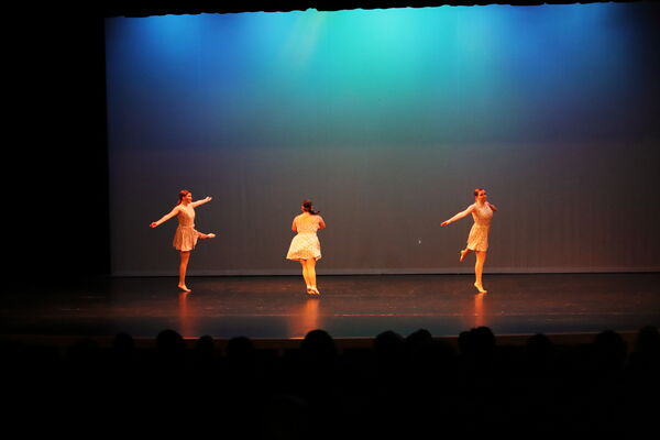 Keywords: Taylor_S;Sofia_C;Katelyn_L