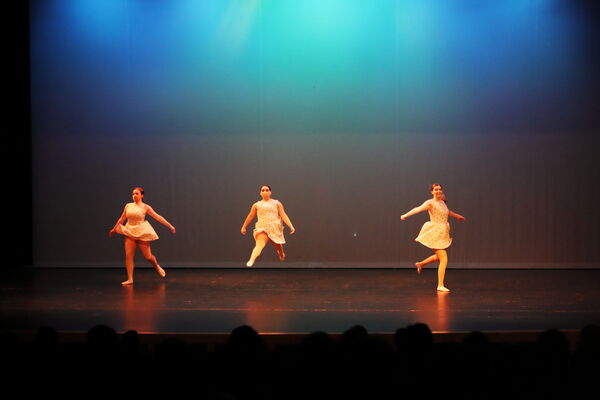 Keywords: Taylor_S;Sofia_C;Katelyn_L