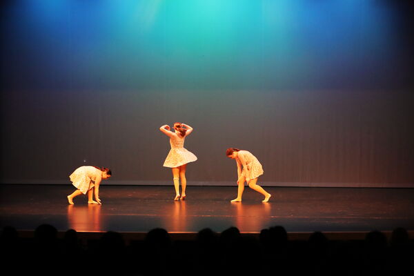 Keywords: Taylor_S;Sofia_C;Katelyn_L