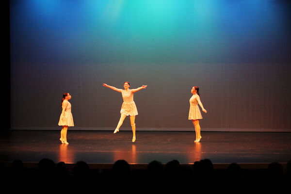 Keywords: Taylor_S;Sofia_C;Katelyn_L