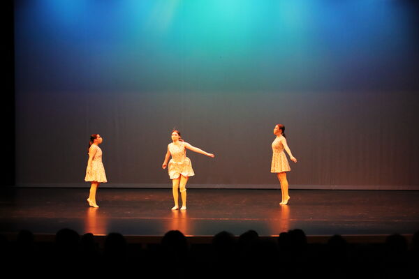 Keywords: Taylor_S;Sofia_C;Katelyn_L