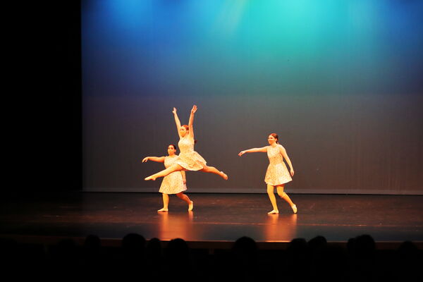 Keywords: Taylor_S;Sofia_C;Katelyn_L