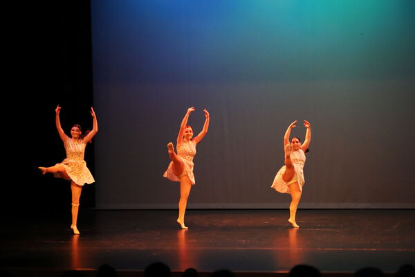 Keywords: Taylor_S;Sofia_C;Katelyn_L