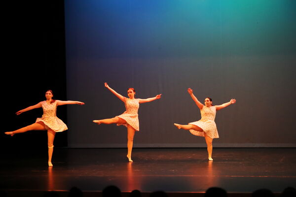 Keywords: Taylor_S;Sofia_C;Katelyn_L