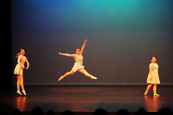 Keywords: Taylor_S;Sofia_C;Katelyn_L