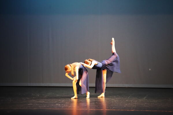 Keywords: Grace_V;Hayley_B