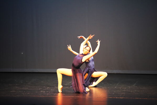 Keywords: Grace_V;Hayley_B