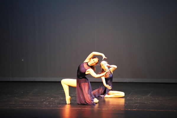 Keywords: Grace_V;Hayley_B