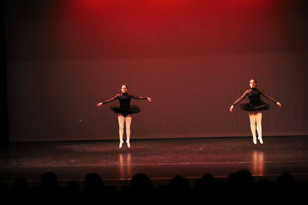 Keywords: Alex_P;Elena_F