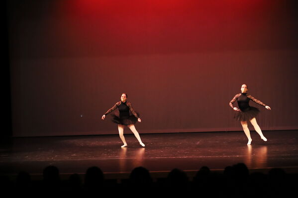 Keywords: Alex_P;Elena_F