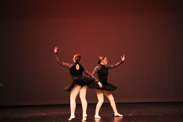 Keywords: Alex_P;Elena_F