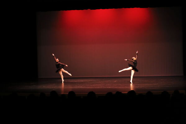 Keywords: Alex_P;Elena_F