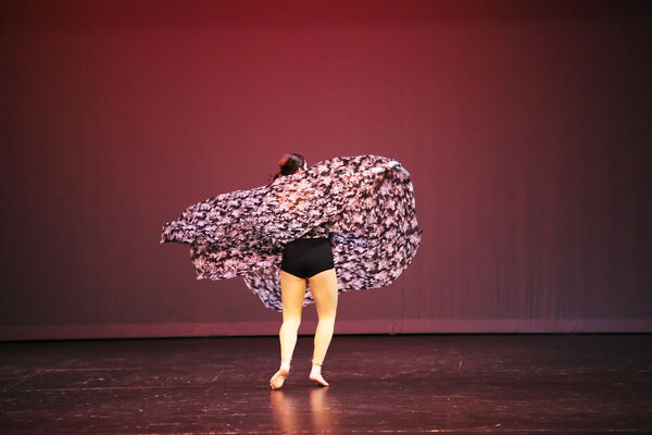 Keywords: Annabelle_I