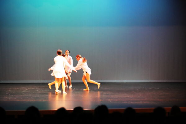 Keywords: Halie_J;Georgia_C;Rosie_K;Lola_H