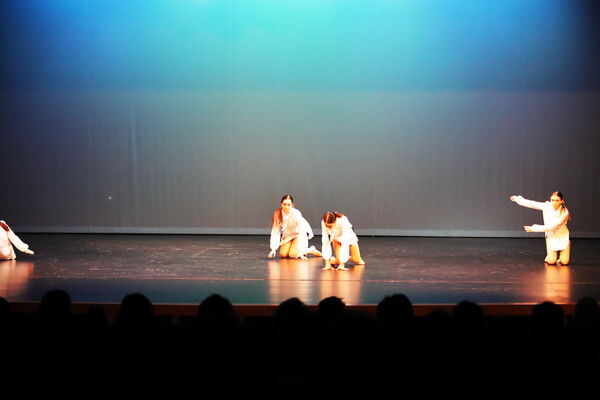 Keywords: Halie_J;Georgia_C;Rosie_K;Lola_H