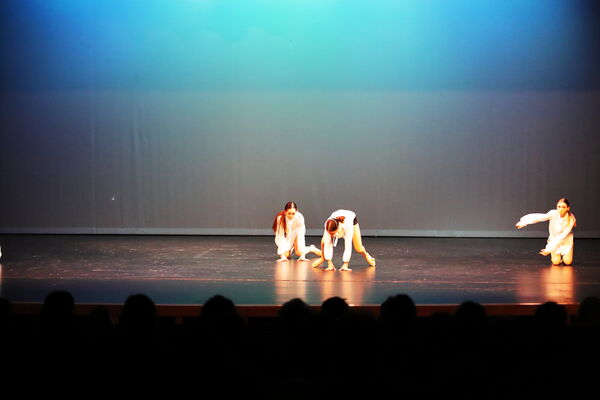 Keywords: Halie_J;Georgia_C;Rosie_K;Lola_H