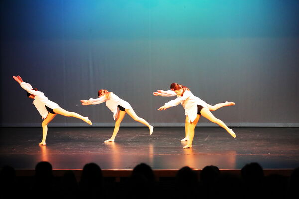 Keywords: Halie_J;Georgia_C;Rosie_K;Lola_H