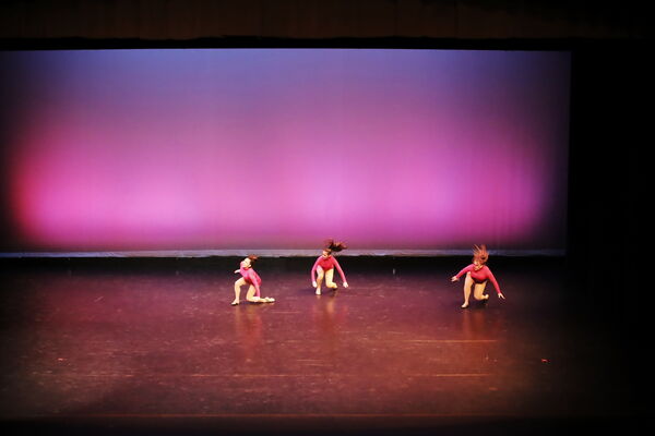 Keywords: Sofia_C;Georgia_C;Abby_H;Lauren_H;Halie_J;Olivia_K;Rosie_K;Jessica_M;Ella_S