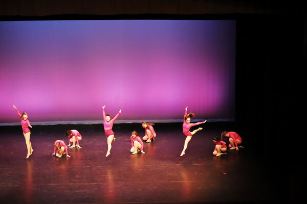 Keywords: Sofia_C;Georgia_C;Abby_H;Lauren_H;Halie_J;Olivia_K;Rosie_K;Jessica_M;Ella_S