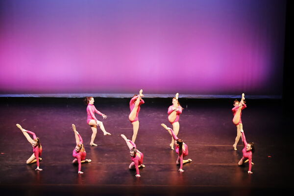 Keywords: Sofia_C;Georgia_C;Abby_H;Lauren_H;Halie_J;Olivia_K;Rosie_K;Jessica_M;Ella_S