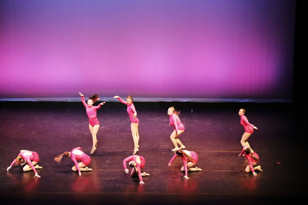 Keywords: Sofia_C;Georgia_C;Abby_H;Lauren_H;Halie_J;Olivia_K;Rosie_K;Jessica_M;Ella_S