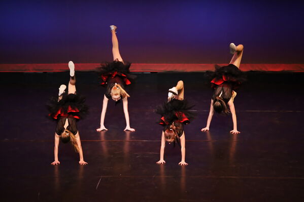 Keywords: Lina_D;Kailey_G;Anna_K;Ziva_L;Eva_M