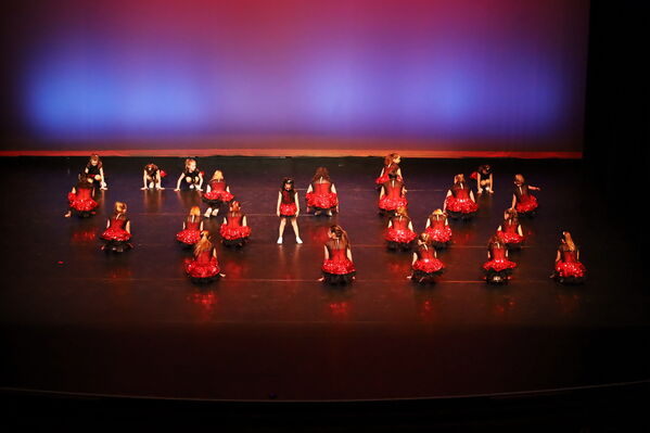 Keywords: Performing Company