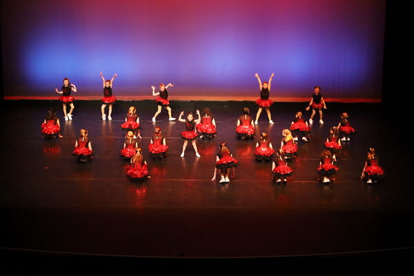 Keywords: Performing Company