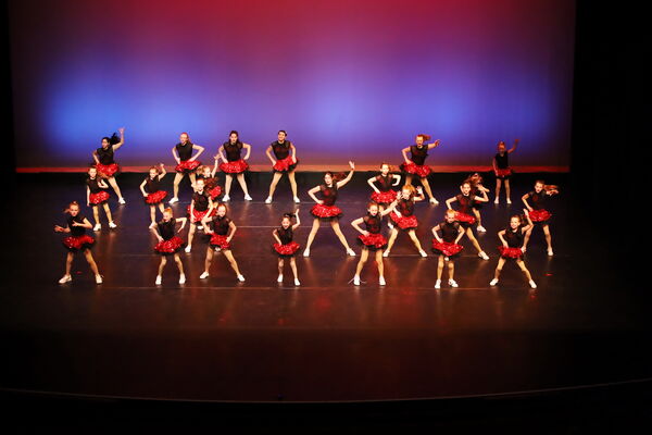 Keywords: Performing Company