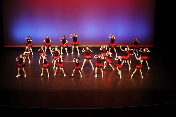 Keywords: Performing Company