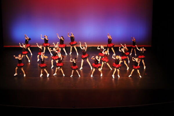 Keywords: Performing Company