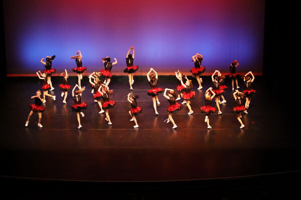 Keywords: Performing Company