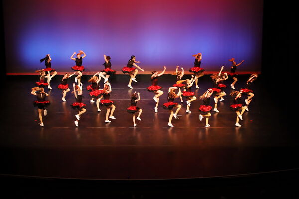 Keywords: Performing Company