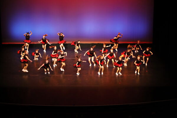 Keywords: Performing Company