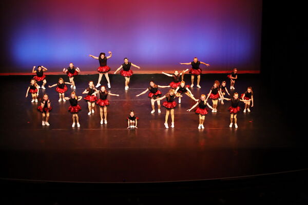 Keywords: Performing Company