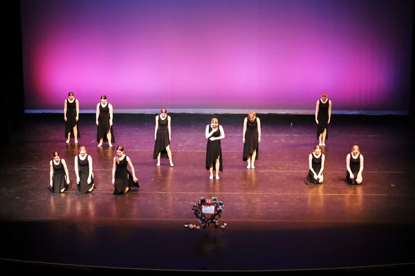 Keywords: Hayley_B;Evelyn_C;Lauren_D;Lauren_F;Sydney_K;Erin_K;Katelyn_L;Brandi_M;Jessica_P;Nora_R;Alicia_S;Grace_V