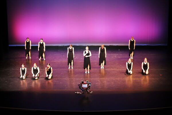 Keywords: Hayley_B;Evelyn_C;Lauren_D;Lauren_F;Sydney_K;Erin_K;Katelyn_L;Brandi_M;Jessica_P;Nora_R;Alicia_S;Grace_V