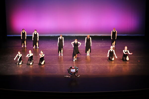 Keywords: Hayley_B;Evelyn_C;Lauren_D;Lauren_F;Sydney_K;Erin_K;Katelyn_L;Brandi_M;Jessica_P;Nora_R;Alicia_S;Grace_V