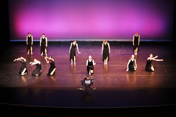 Keywords: Hayley_B;Evelyn_C;Lauren_D;Lauren_F;Sydney_K;Erin_K;Katelyn_L;Brandi_M;Jessica_P;Nora_R;Alicia_S;Grace_V