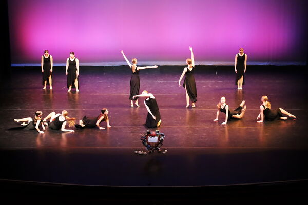 Keywords: Hayley_B;Evelyn_C;Lauren_D;Lauren_F;Sydney_K;Erin_K;Katelyn_L;Brandi_M;Jessica_P;Nora_R;Alicia_S;Grace_V