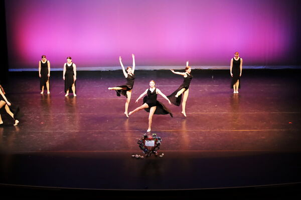 Keywords: Hayley_B;Evelyn_C;Lauren_D;Lauren_F;Sydney_K;Erin_K;Katelyn_L;Brandi_M;Jessica_P;Nora_R;Alicia_S;Grace_V