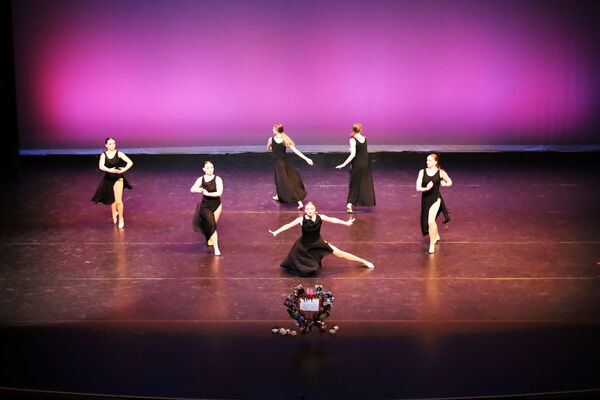 Keywords: Hayley_B;Evelyn_C;Lauren_D;Lauren_F;Sydney_K;Erin_K;Katelyn_L;Brandi_M;Jessica_P;Nora_R;Alicia_S;Grace_V