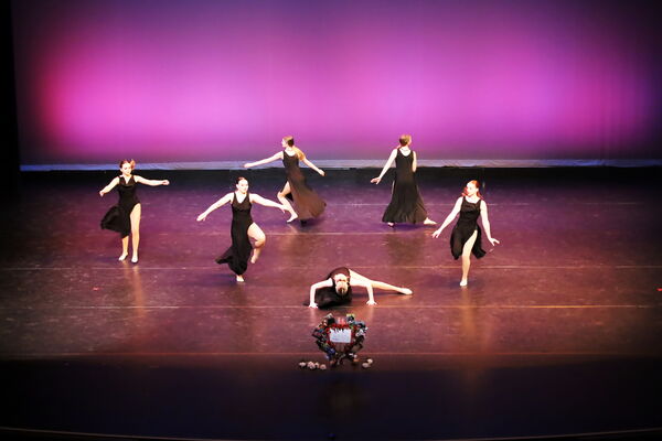 Keywords: Hayley_B;Evelyn_C;Lauren_D;Lauren_F;Sydney_K;Erin_K;Katelyn_L;Brandi_M;Jessica_P;Nora_R;Alicia_S;Grace_V