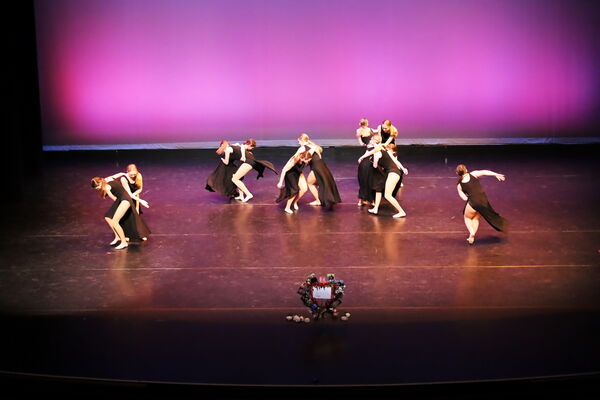 Keywords: Hayley_B;Evelyn_C;Lauren_D;Lauren_F;Sydney_K;Erin_K;Katelyn_L;Brandi_M;Jessica_P;Nora_R;Alicia_S;Grace_V