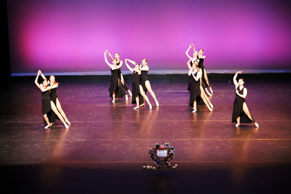 Keywords: Hayley_B;Evelyn_C;Lauren_D;Lauren_F;Sydney_K;Erin_K;Katelyn_L;Brandi_M;Jessica_P;Nora_R;Alicia_S;Grace_V