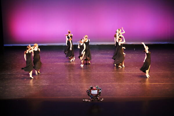 Keywords: Hayley_B;Evelyn_C;Lauren_D;Lauren_F;Sydney_K;Erin_K;Katelyn_L;Brandi_M;Jessica_P;Nora_R;Alicia_S;Grace_V