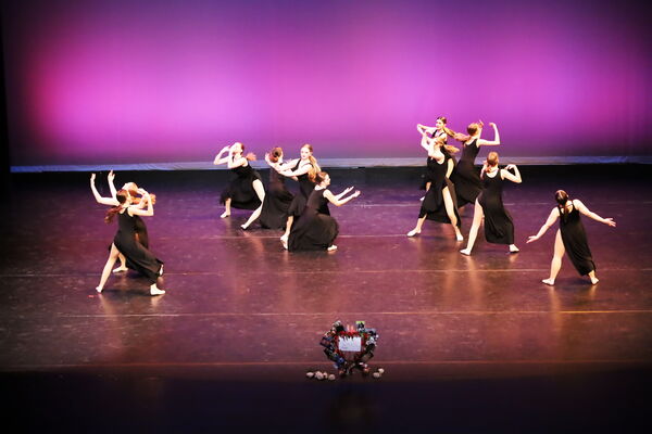 Keywords: Hayley_B;Evelyn_C;Lauren_D;Lauren_F;Sydney_K;Erin_K;Katelyn_L;Brandi_M;Jessica_P;Nora_R;Alicia_S;Grace_V