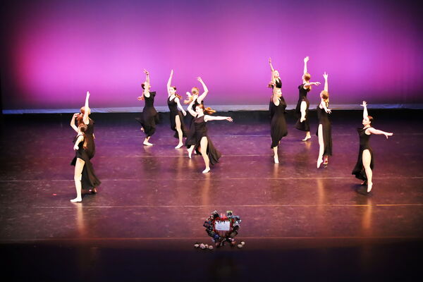 Keywords: Hayley_B;Evelyn_C;Lauren_D;Lauren_F;Sydney_K;Erin_K;Katelyn_L;Brandi_M;Jessica_P;Nora_R;Alicia_S;Grace_V